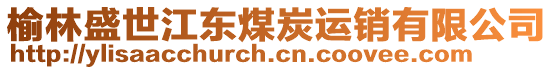 榆林盛世江東煤炭運(yùn)銷有限公司