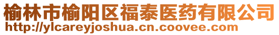 榆林市榆阳区福泰医药有限公司