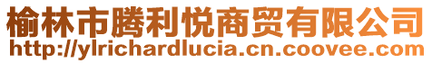 榆林市腾利悦商贸有限公司