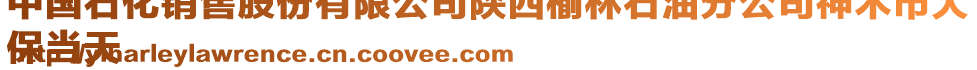 中國(guó)石化銷售股份有限公司陜西榆林石油分公司神木市大
保當(dāng)天