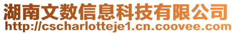 湖南文数信息科技有限公司