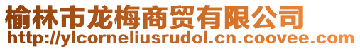 榆林市龍梅商貿(mào)有限公司