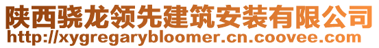 陜西驍龍領(lǐng)先建筑安裝有限公司