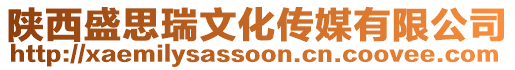 陜西盛思瑞文化傳媒有限公司