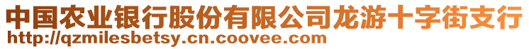 中國農(nóng)業(yè)銀行股份有限公司龍游十字街支行