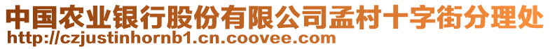 中國農(nóng)業(yè)銀行股份有限公司孟村十字街分理處