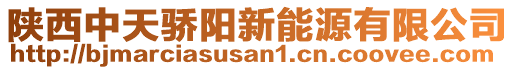 陜西中天驕陽新能源有限公司