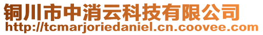 銅川市中消云科技有限公司