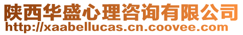 陜西華盛心理咨詢有限公司