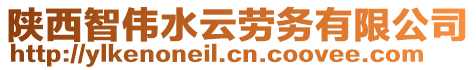 陜西智偉水云勞務(wù)有限公司