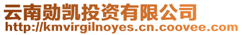 云南勛凱投資有限公司