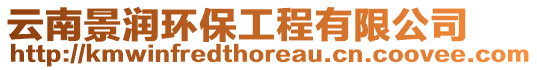 云南景潤環(huán)保工程有限公司