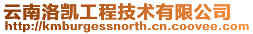 云南洛凱工程技術有限公司