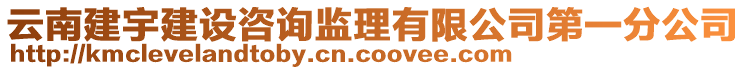 云南建宇建設咨詢監理有限公司第一分公司