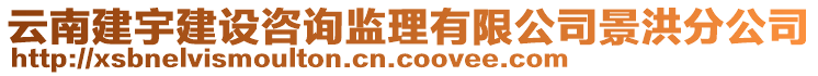 云南建宇建設(shè)咨詢監(jiān)理有限公司景洪分公司