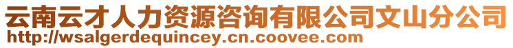 云南云才人力資源咨詢有限公司文山分公司