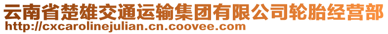 云南省楚雄交通運(yùn)輸集團(tuán)有限公司輪胎經(jīng)營(yíng)部