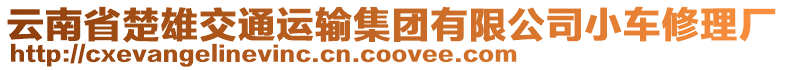 云南省楚雄交通運(yùn)輸集團(tuán)有限公司小車修理廠