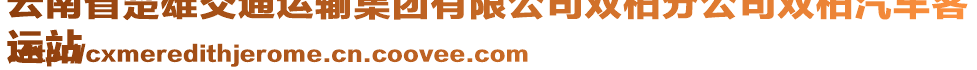 云南省楚雄交通運(yùn)輸集團(tuán)有限公司雙柏分公司雙柏汽車客
運(yùn)站