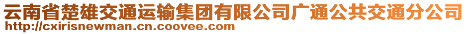 云南省楚雄交通運(yùn)輸集團(tuán)有限公司廣通公共交通分公司