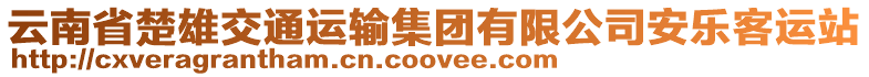 云南省楚雄交通運輸集團有限公司安樂客運站