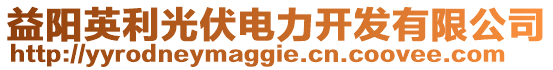 益陽(yáng)英利光伏電力開發(fā)有限公司