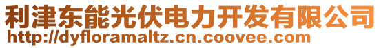 利津東能光伏電力開發(fā)有限公司