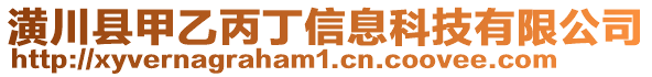 潢川县甲乙丙丁信息科技有限公司