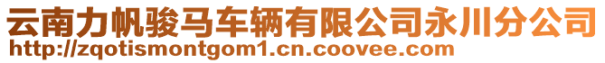 云南力帆駿馬車輛有限公司永川分公司