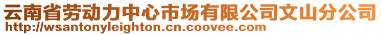 云南省勞動力中心市場有限公司文山分公司