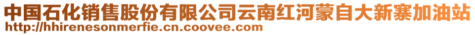 中國(guó)石化銷售股份有限公司云南紅河蒙自大新寨加油站