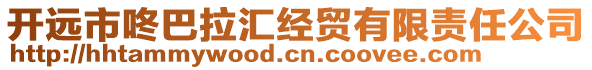 開遠(yuǎn)市咚巴拉匯經(jīng)貿(mào)有限責(zé)任公司