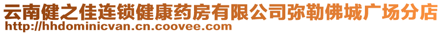 云南健之佳連鎖健康藥房有限公司彌勒佛城廣場分店