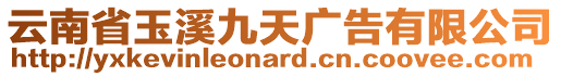 云南省玉溪九天廣告有限公司