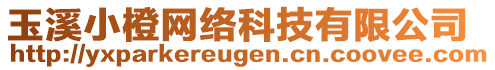 玉溪小橙網(wǎng)絡科技有限公司