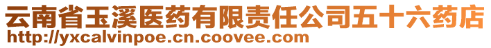 云南省玉溪醫(yī)藥有限責(zé)任公司五十六藥店