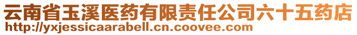 云南省玉溪醫(yī)藥有限責(zé)任公司六十五藥店