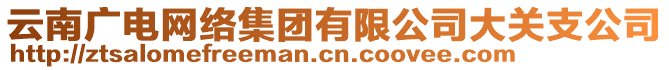 云南廣電網(wǎng)絡集團有限公司大關支公司