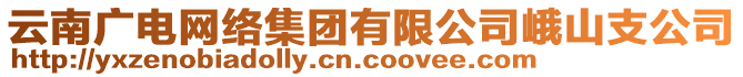 云南廣電網(wǎng)絡(luò)集團有限公司峨山支公司