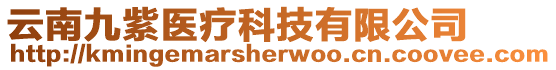 云南九紫醫(yī)療科技有限公司