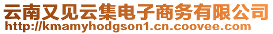 云南又見云集電子商務(wù)有限公司