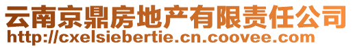 云南京鼎房地產(chǎn)有限責(zé)任公司