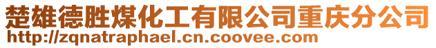 楚雄德勝煤化工有限公司重慶分公司