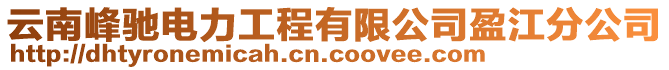 云南峰馳電力工程有限公司盈江分公司