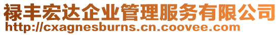 祿豐宏達(dá)企業(yè)管理服務(wù)有限公司