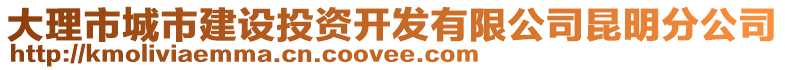 大理市城市建設(shè)投資開發(fā)有限公司昆明分公司