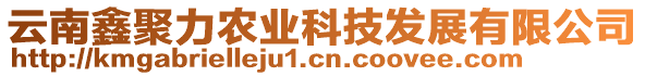 云南鑫聚力農(nóng)業(yè)科技發(fā)展有限公司