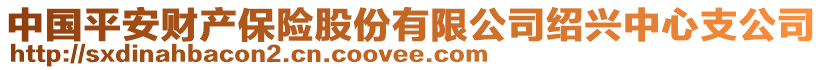 中國平安財產保險股份有限公司紹興中心支公司