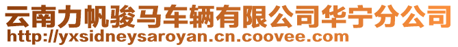 云南力帆駿馬車輛有限公司華寧分公司