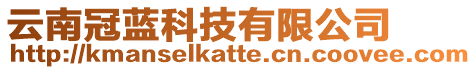 云南冠藍科技有限公司